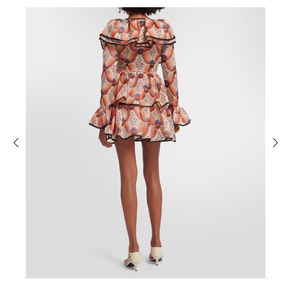 $5200 New Etro 2023 Apricot Print Ruffle Runway Mini Dress. - Picture 6 of 15